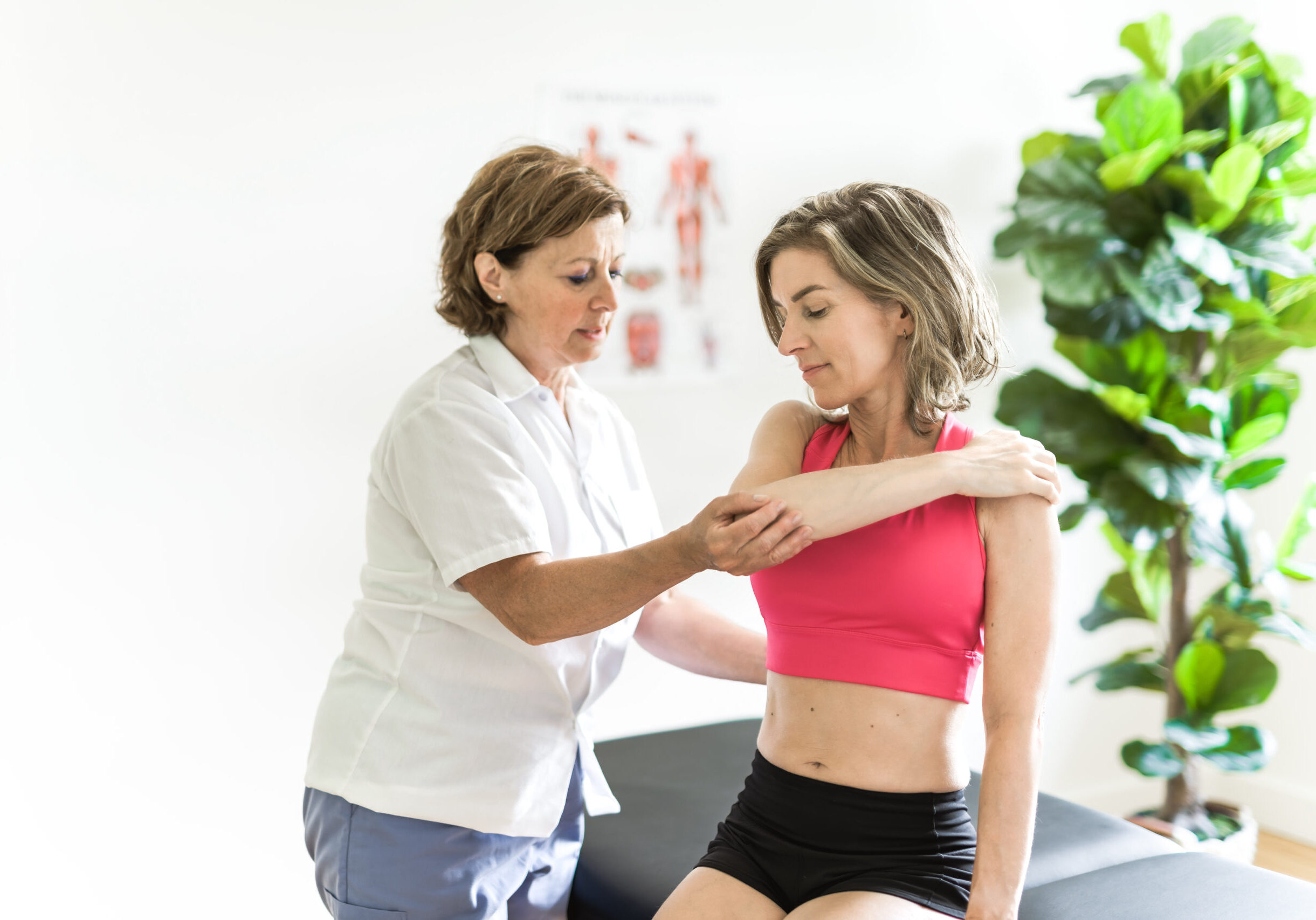 A elderly Physiotherapist working with sporty patient in clinic